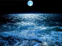 mer4